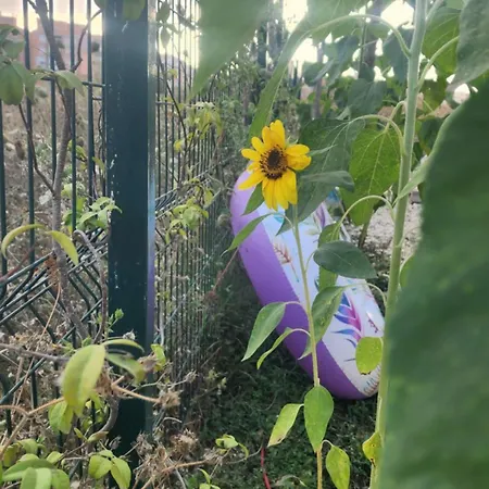 Uniklajd Villa-s Golem (Tirana)